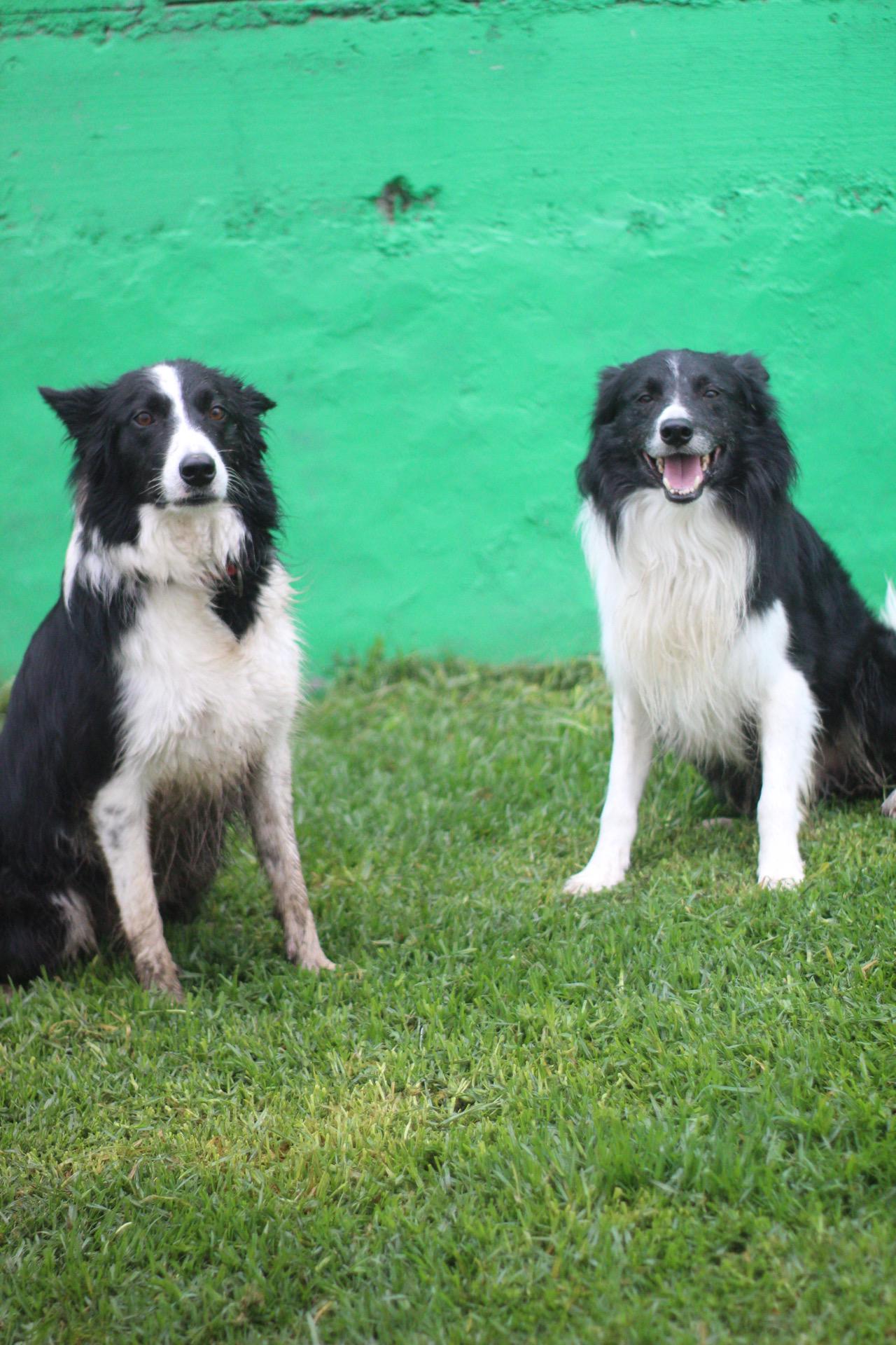 Fundador y Arya en Black and White